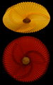 LUPAPF03