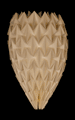 LUPPLT02